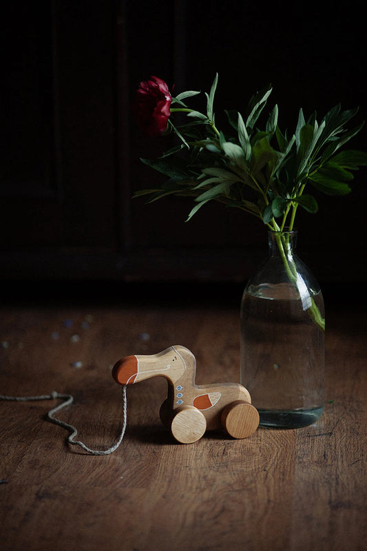 Delightful Wooden Dodo Bird Pull Toy